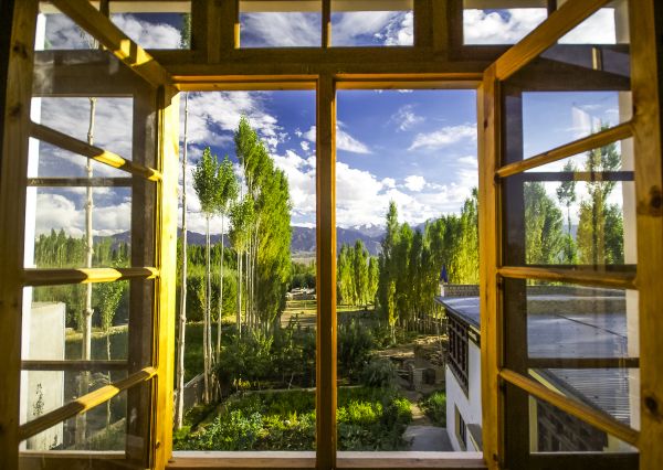 Cost of Wood Window Replacement in Asheville